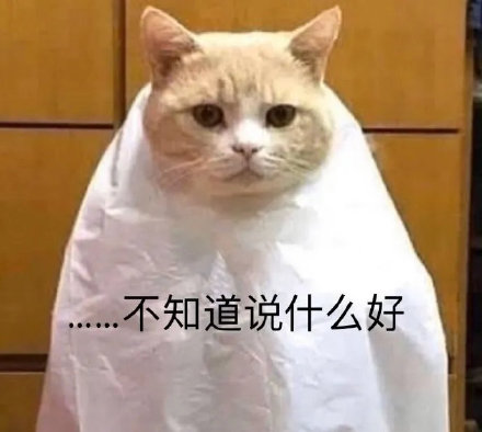 猫咪1